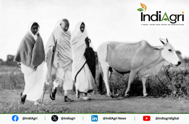 Agricultural vision of Gandhi Ji: Why his ideas on village economy still matter
